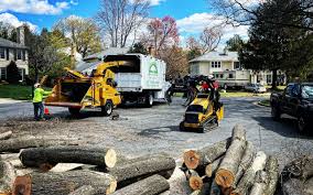 Best Tree Trimming and Pruning  in South Point, OH