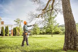 Best Leaf Removal  in South Point, OH