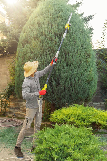Lawn Watering Services in South Point, OH
